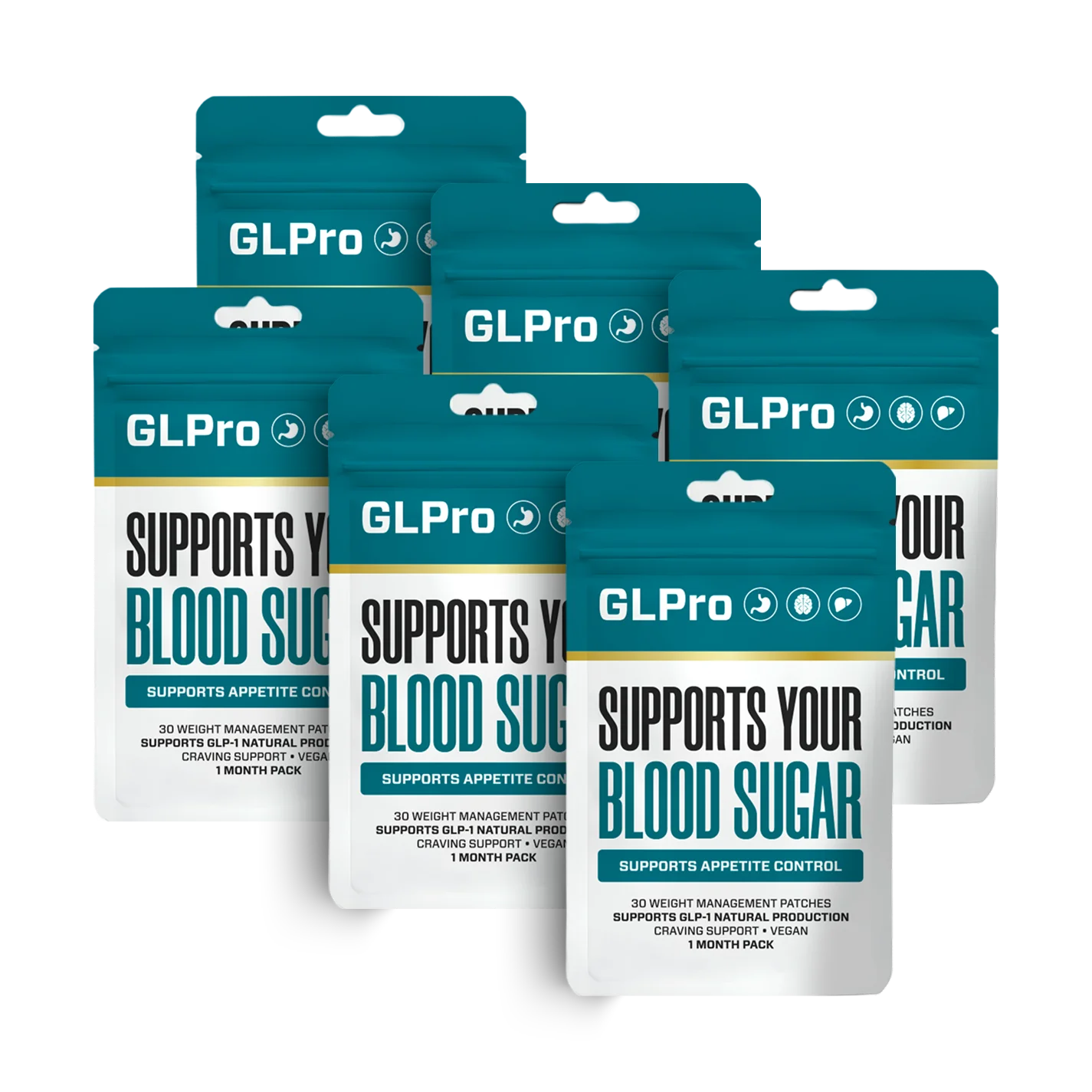 GLPro Patches 6-pack package